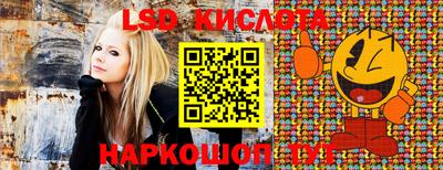 спайс Жуковский